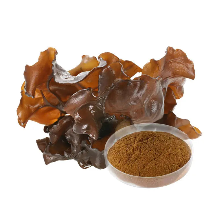 Black Fungus Extract Mushrooms Extract