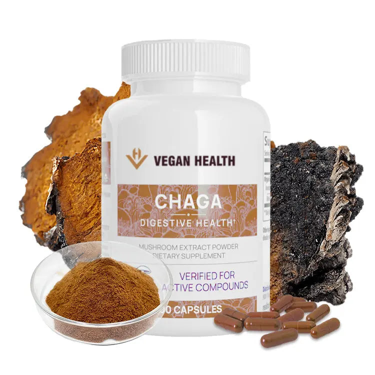 Chaga Extract Powder