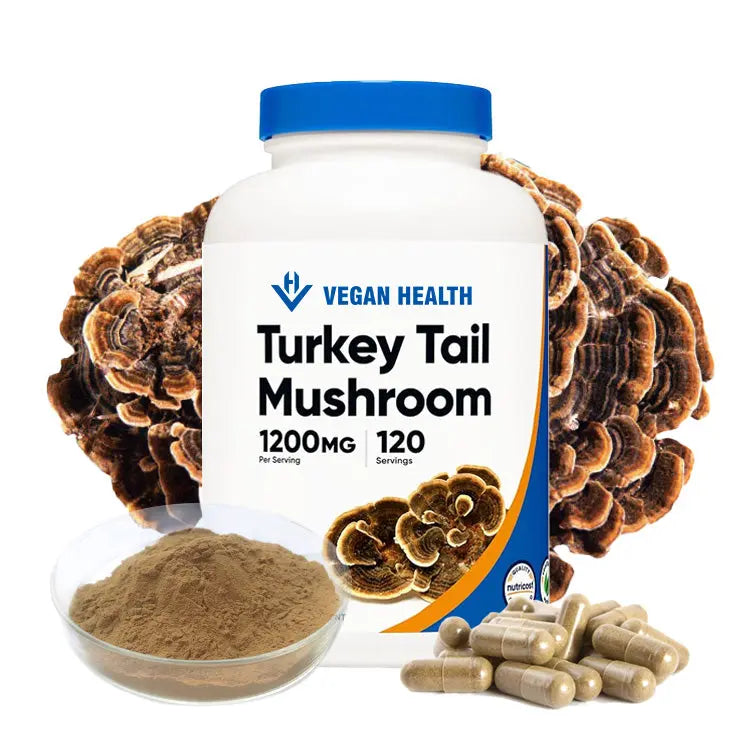(Coriolus Versicolor) Turkey Tail Mushroom Extract Mushrooms Extract