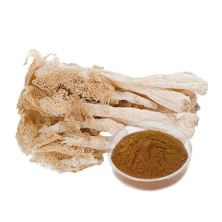 Dictyophora Indusiata Extract Mushroom Extracts