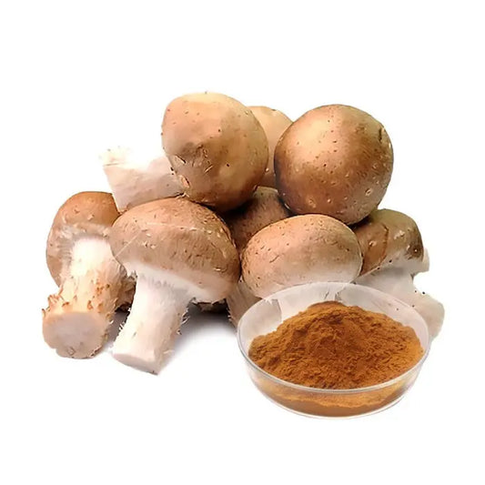 Agaricus Blazei Mushroom Extract Mushrooms Extract