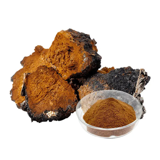 Chaga Extract Powder Mushroom Extracts