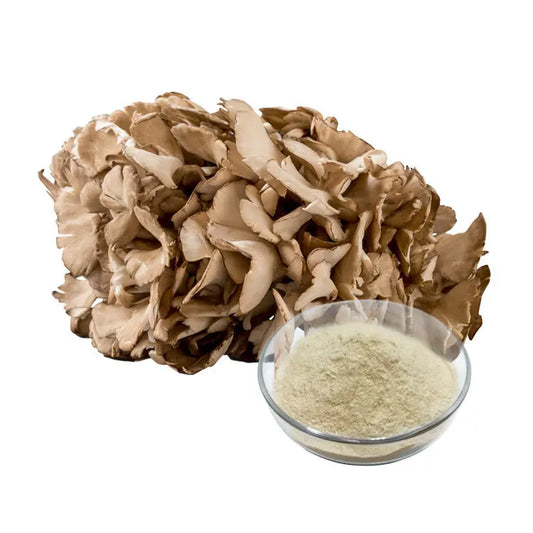 Grifola Frondosa (Maitake Mushroom) Extract Mushroom Extracts