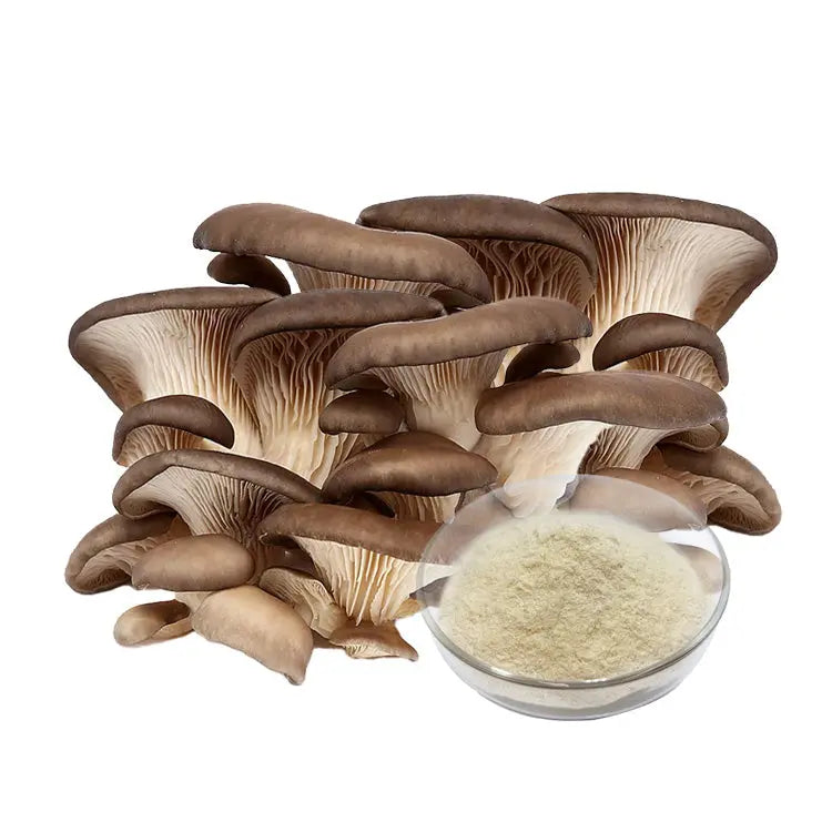 Oyster Mushroom Extract Mushrooms Extract