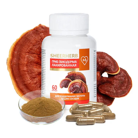 Reishi Mushroom Capsules Sheer Healthy Mushrooms Extract