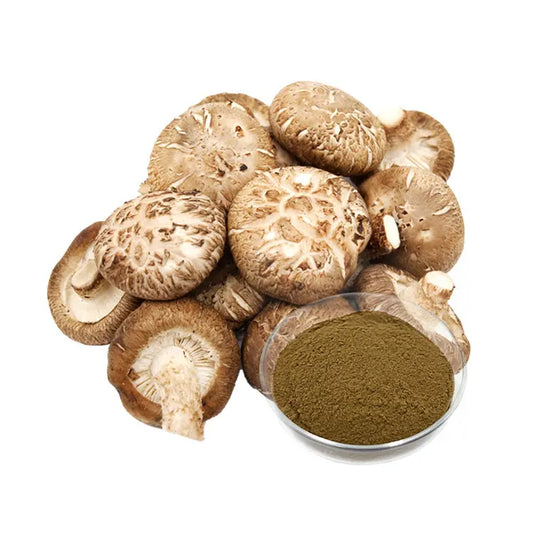 Shitake Mushroom Extract Mushroom Extracts