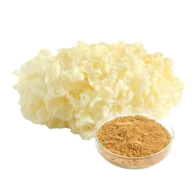 Tremella Fuciformis Extract Mushroom Extracts