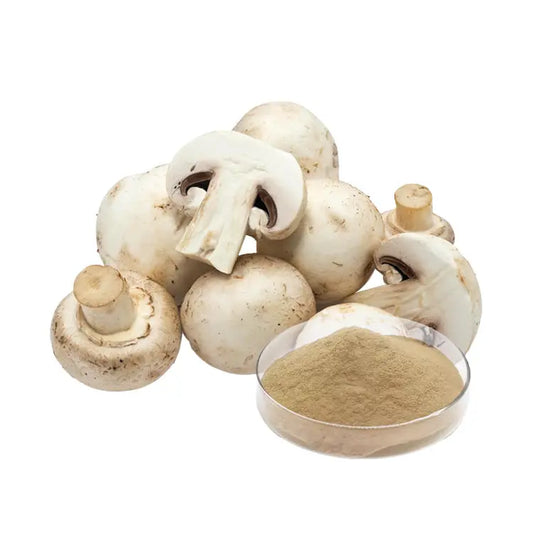 White Button Mushroom Extract Mushrooms Extract